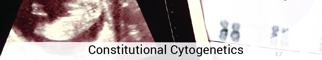 Constitutional Cytogenetics